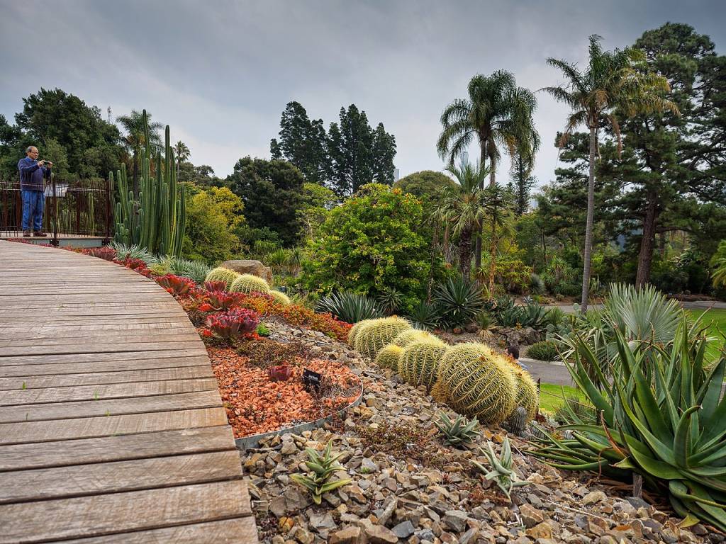 royal-botanic-gardens-melbourne royal-botanic-gardens-melbourne