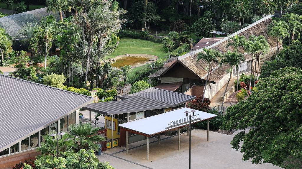 zoologico-de-honolulu zoologico-de-honolulu