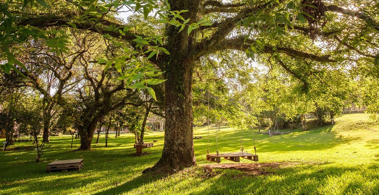 Vinícola Dal Pizzol, Bento Gonçalves, Rio Grande do Sul