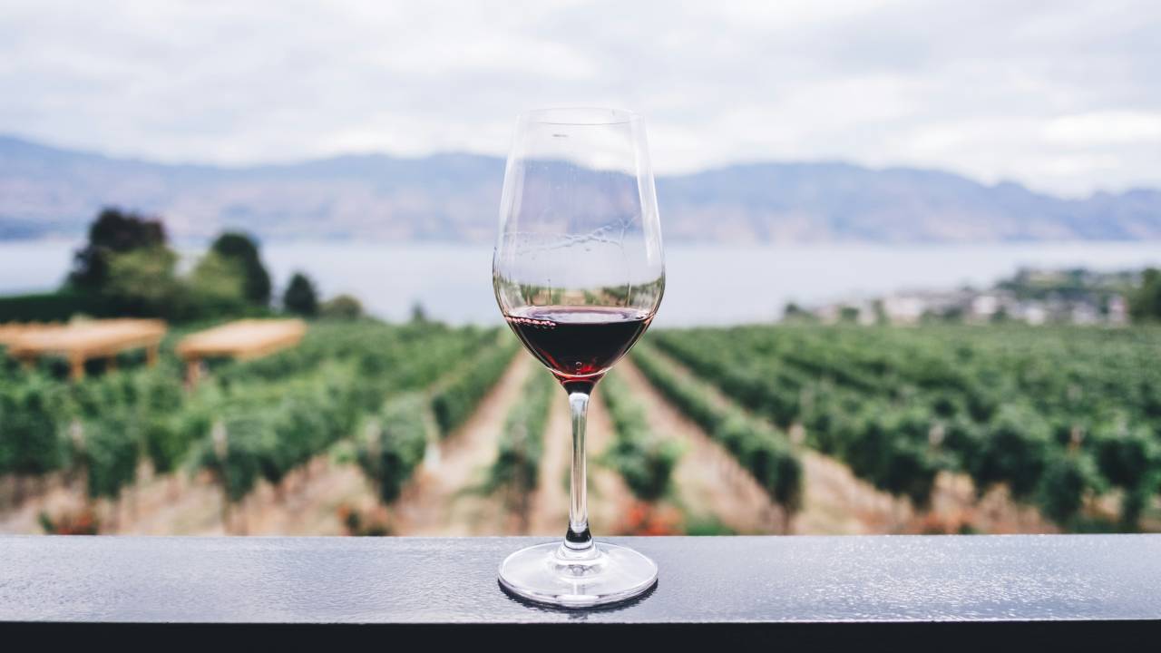 vinho-vinicola-parreiras