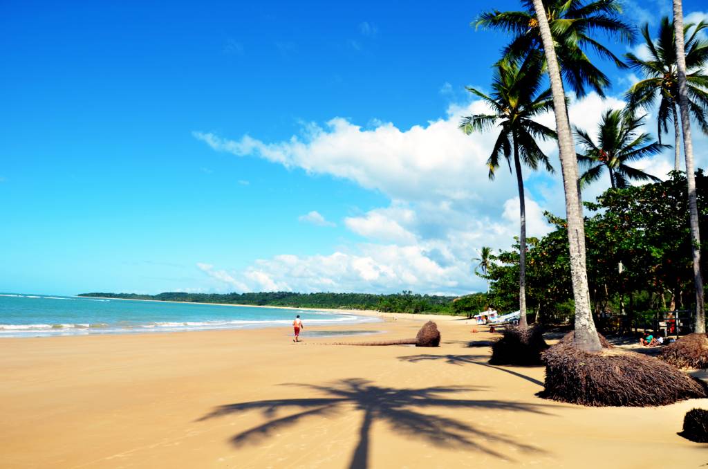 bahia-trancoso-coqueiros