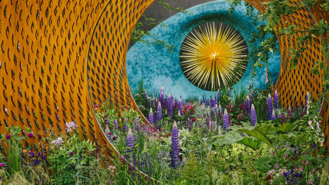 Exibição de flores no Chelsea Flower Show