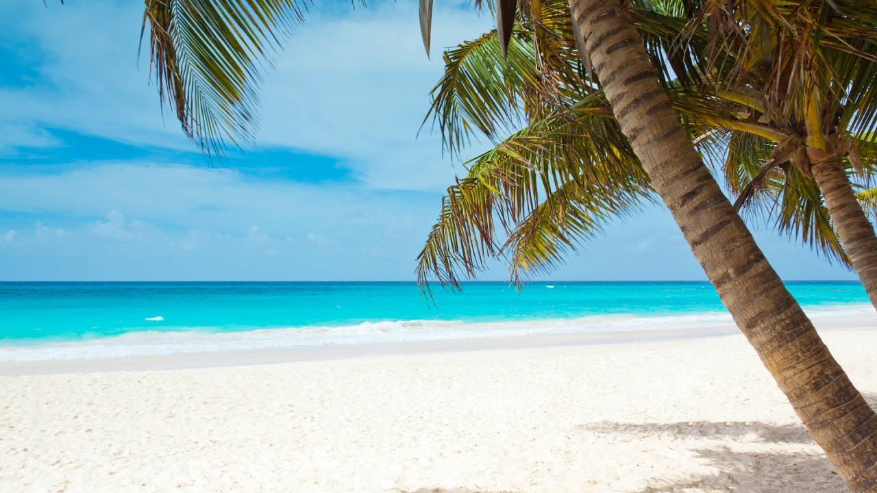 Caribe