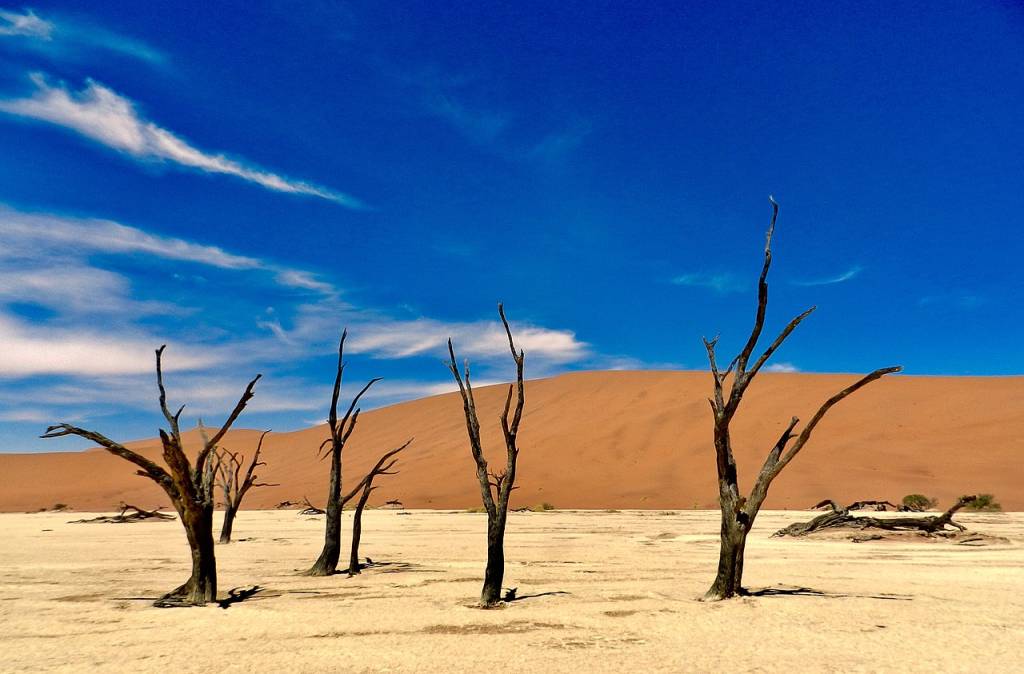 deadvlei-arvores-sossusvlei