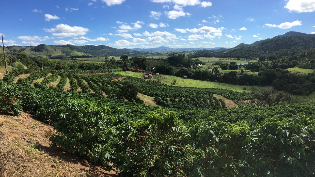 rota-do-cafe-paisagem
