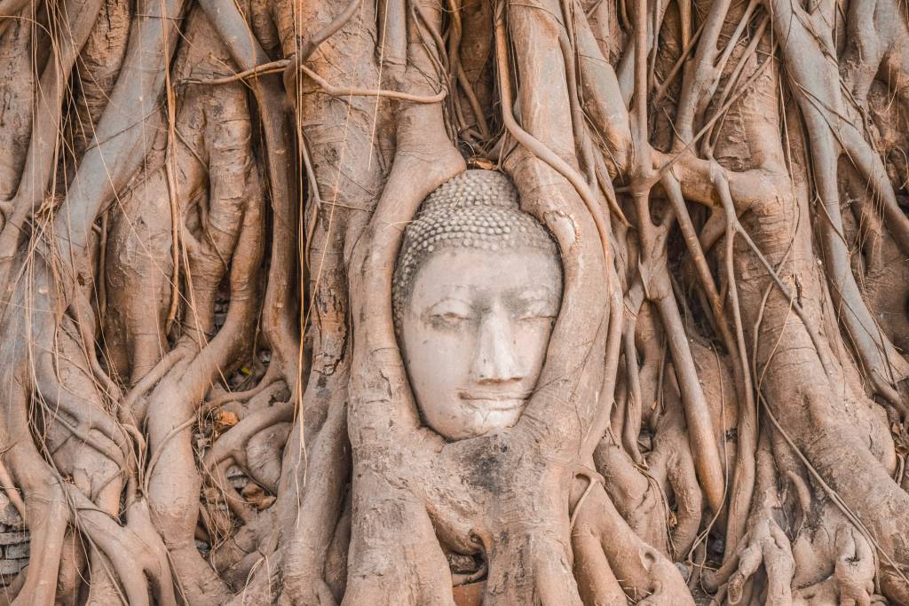 buda-raizes-wat-mahathat buda-raizes-wat-mahathat