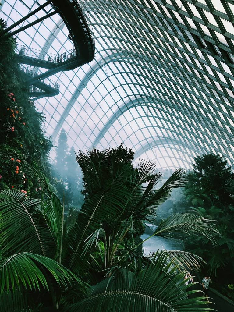 cloud-forest-gardens-by-the-bay cloud-forest-gardens-by-the-bay