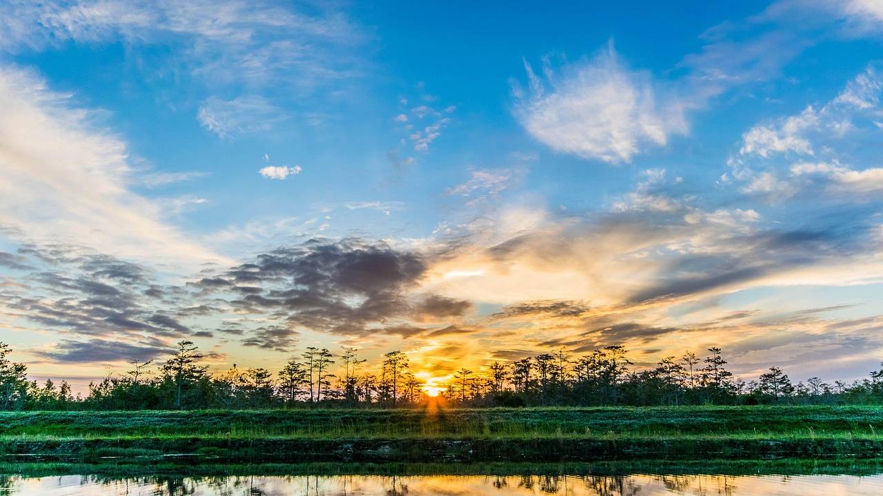 Everglades