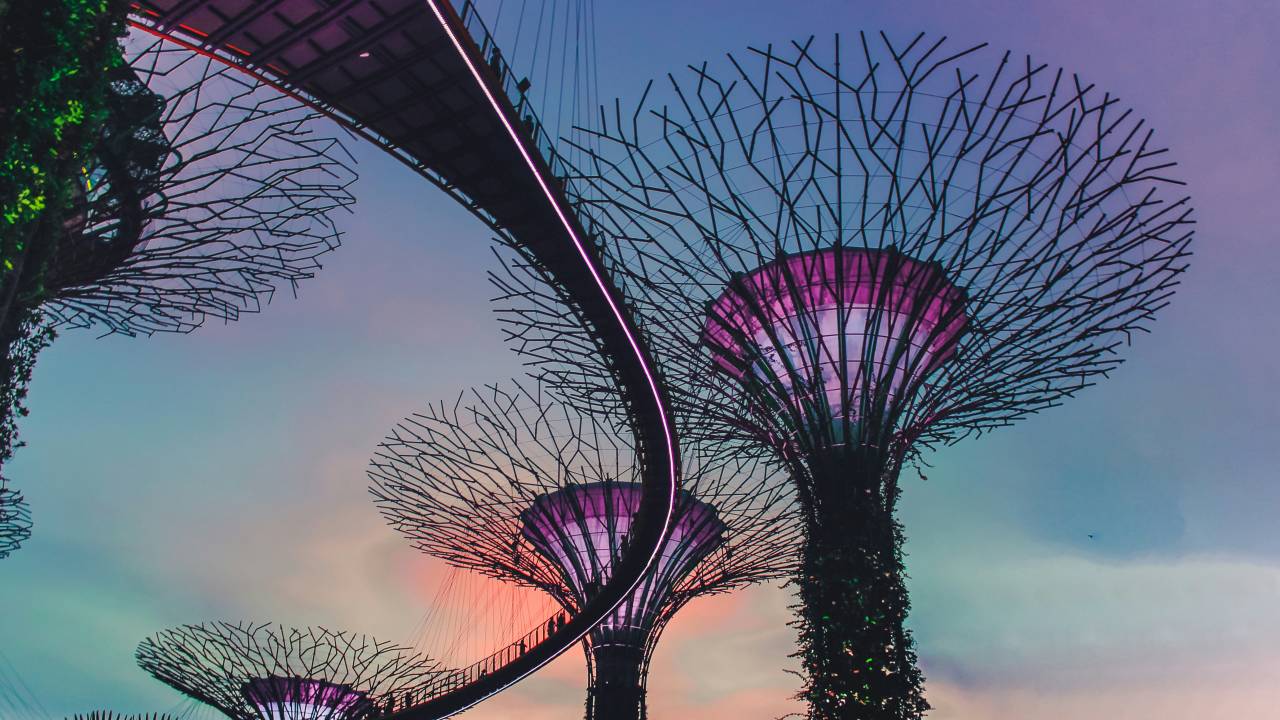 supertrees-garden-bay-the-bay-singapura