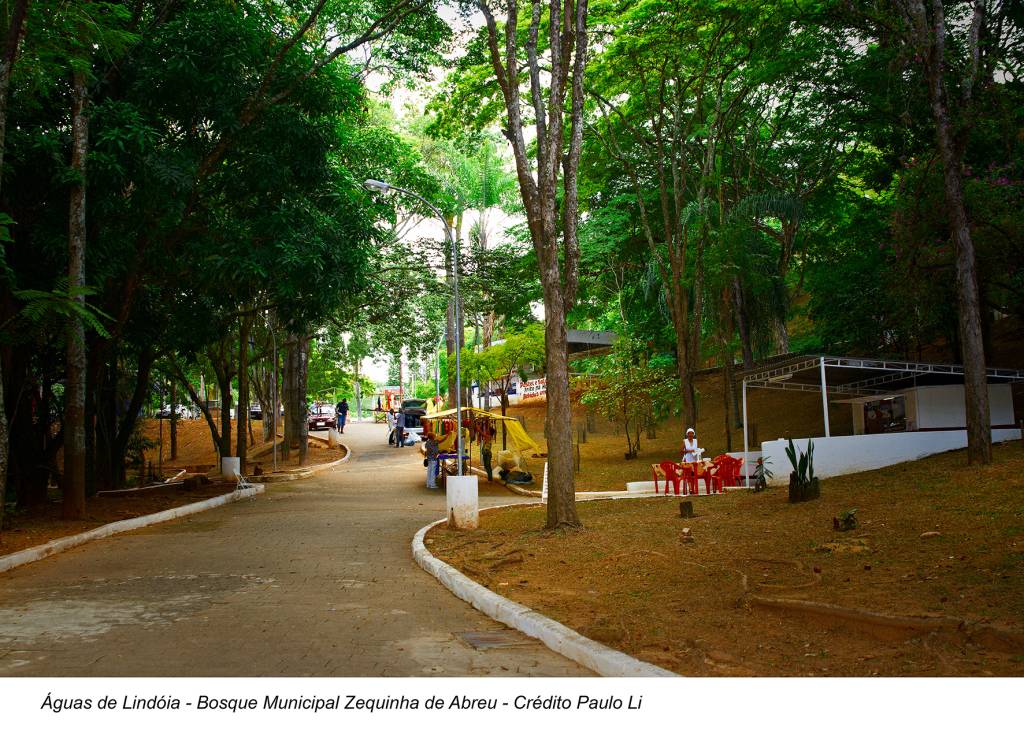 Photo_by_PAULO LI O bosque foi batizado em homenagem ao compositor da canção Tardes de Lindóia