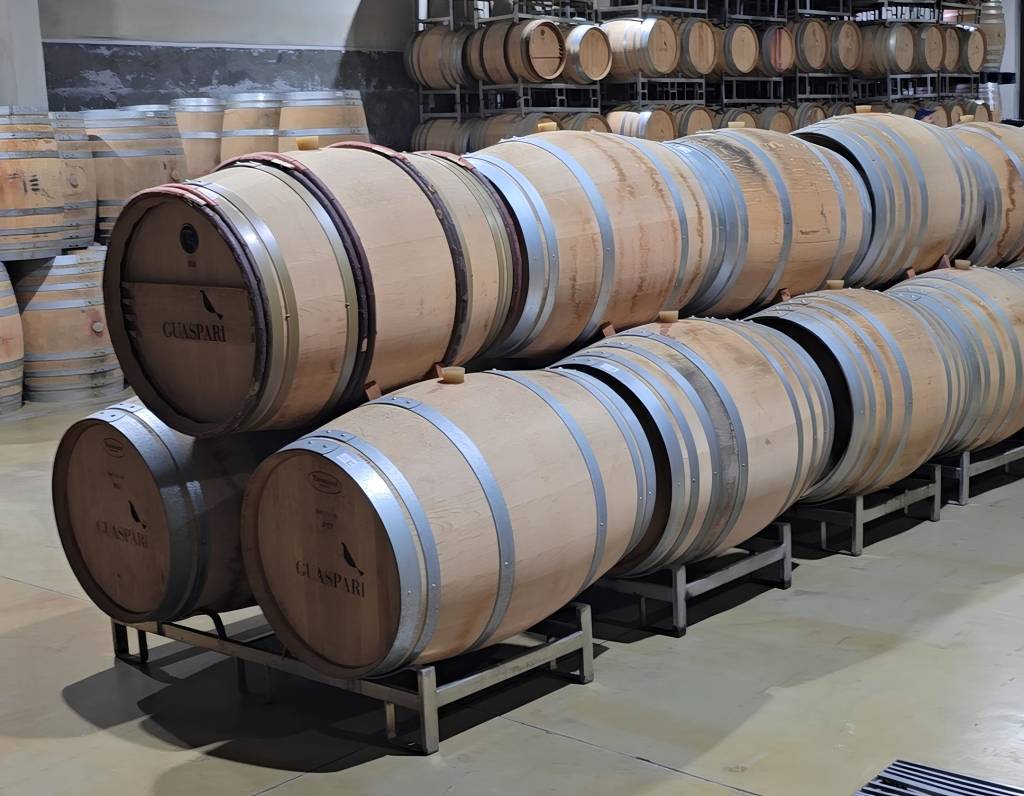barris que armazenam os vinhos barris que armazenam os vinhos
